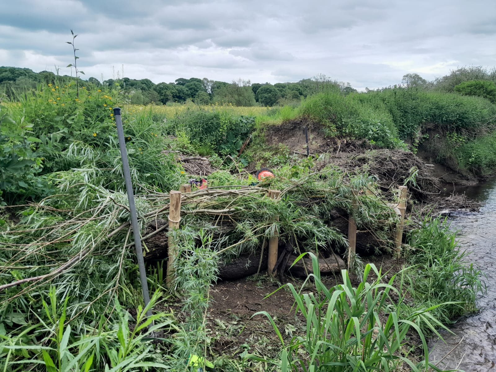 An image of an erosion repair on the river Browney. The image shows a collapsed bank in the background, and some green engineering in the foreground. The repairs include a series of posts with large wood debris and willow weaved in between.