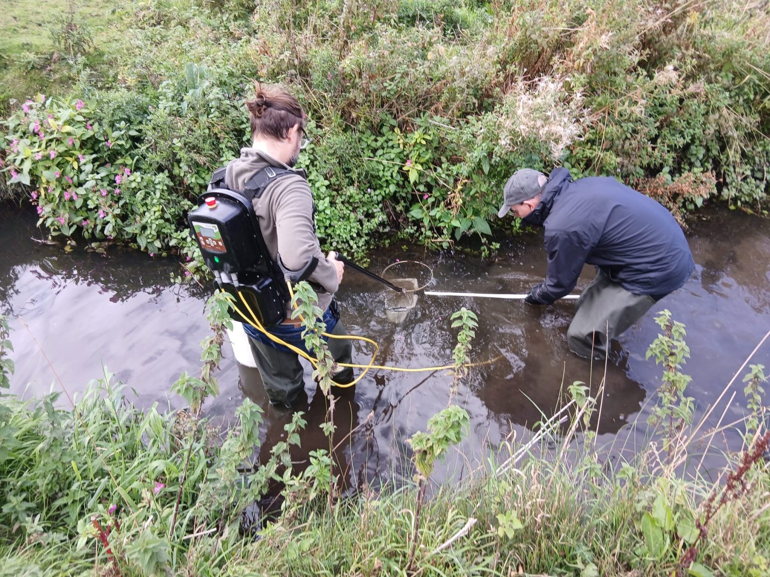 Biodiversity & Conservation – Wear Rivers Trust | North East Charity ...